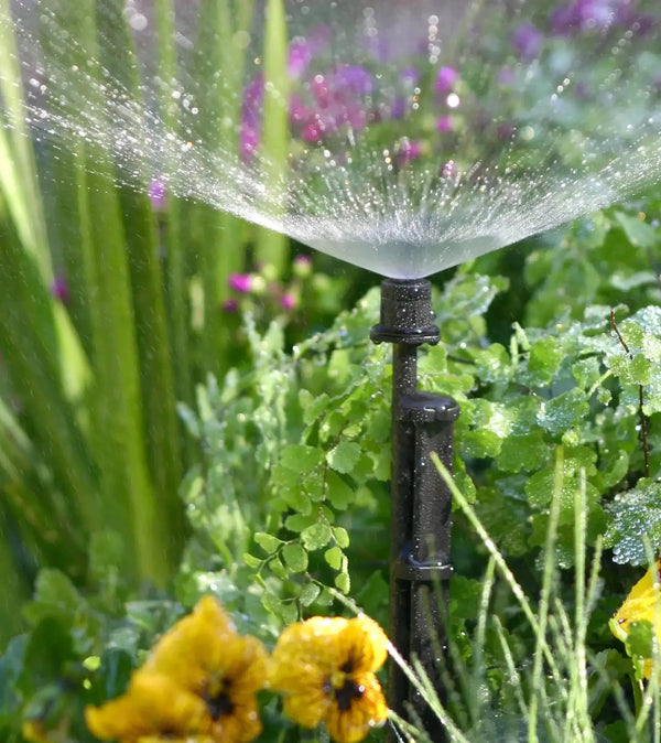 Sprinkler watering plants in a garden with flowers and greenery.