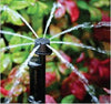 Sprinkler spraying water in a garden with green and red foliage.