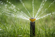 Popup Sprinkler spraying water on grass