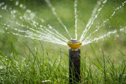 Popup Sprinkler spraying water on grass