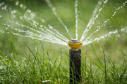 Popup Sprinkler spraying water on grass