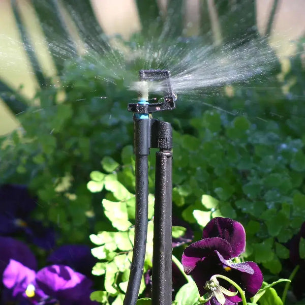 Sprinkler spraying water on plants with purple flowers in the foreground