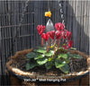 Red flowers in a hanging pot being watered with a misting system against a metal fence background.