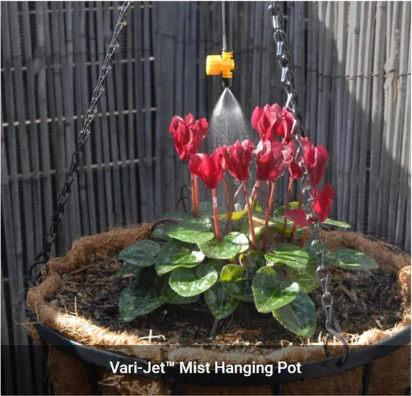 Red flowers in a hanging pot being watered with a misting system against a metal fence background.