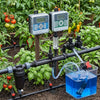 The Automatic Irrigation/Watering - Venturi Fertilizer Injector System uses control units and tubing to efficiently water tomato and pepper plants. A clear container filled with blue liquid connects to the system via tubes, demonstrating its fertigation process, which automatically delivers nutrients through the integrated Venturi Fertilizer Injector.
