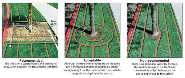 Rainbird XFS Subsurface Dripline with Copper Shield™ Technology 100 Meter