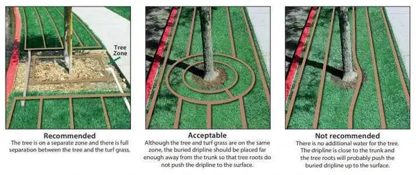 Rain Bird XFS subsurface dripline, view 2