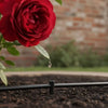 Best Watering System for Roses UK: The 2026 Expert Guide