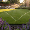 Garden Watering Systems: The Ultimate UK Guide to a Thriving Garden