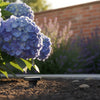Best Garden Drip Irrigation Kits UK 2026: The Specialist Roundup
