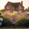 Garden Watering Systems UK: The Complete 2026 Irrigation Guide