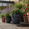 Drip Irrigation Kits for Pots: The Ultimate 2026 Guide