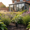 Garden Watering Solutions for Holidays: A Complete UK Guide