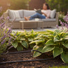 Hozelock Auto Watering System: The Complete 2026 UK Expert Guide