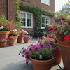 Hozelock 20 Pot Watering Kit: The Complete 2026 UK Setup Guide