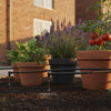 Hozelock 20 Pot Watering System: The Complete 2026 UK Setup Guide