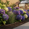 Hozelock Micro Irrigation: The Complete 2026 Guide to Efficient Garden Watering