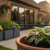 Holiday Plant Watering Systems: The Ultimate 2026 UK Guide