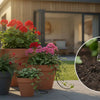Automatic Watering System for Pots: The Complete 2026 UK Guide