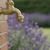 Hozelock Hose Connectors UK: The 2026 Buying Guide for Leak-Proof Watering
