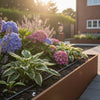 Claber Drip Irrigation Systems: The 2026 Guide to Efficient Watering & Healthy Gardens