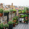 Automatic Watering for UK Balcony Gardens: A Guide