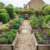 Automatic Watering for UK Raised Vegetable Beds