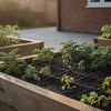 Drip Irrigation for Raised Beds: 2026 UK Design Guide