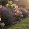 Hozelock Irrigation Systems: A Complete Buying Guide