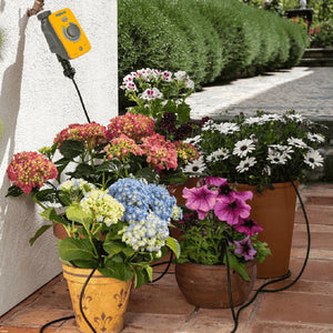 Garden Irrigation Kits | Easy DIY Setup & Efficient Watering