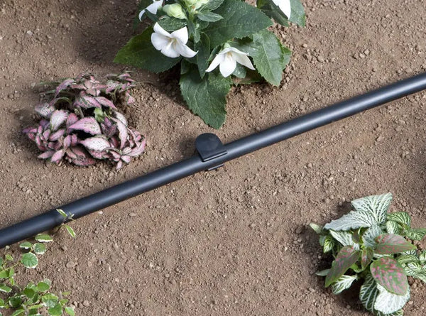 Claber Irrigation Pipe on earth with a few flowers