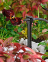 A close-up of the Antelco Asta Stake Dripper for Precise Root Zone Watering releasing water droplets onto plants with green leaves, red foliage, and a blooming pansy flower, all surrounded by white decorative stones.