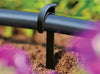 Hozelock Hose Stakes black plastic clip securing a garden irrigation hose firmly in soil