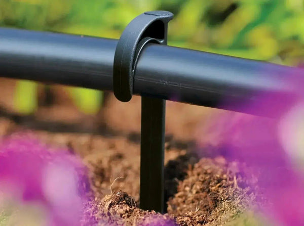 Hozelock Hose Stakes black plastic clip securing a garden irrigation hose firmly in soil