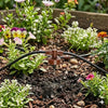 inline netafin 4 litre per hour dripper in garden