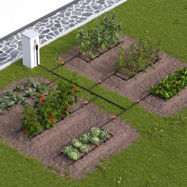 Garden layout with raised beds and plants, including an irrigation system