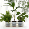 Indoor self watering triple plant pot